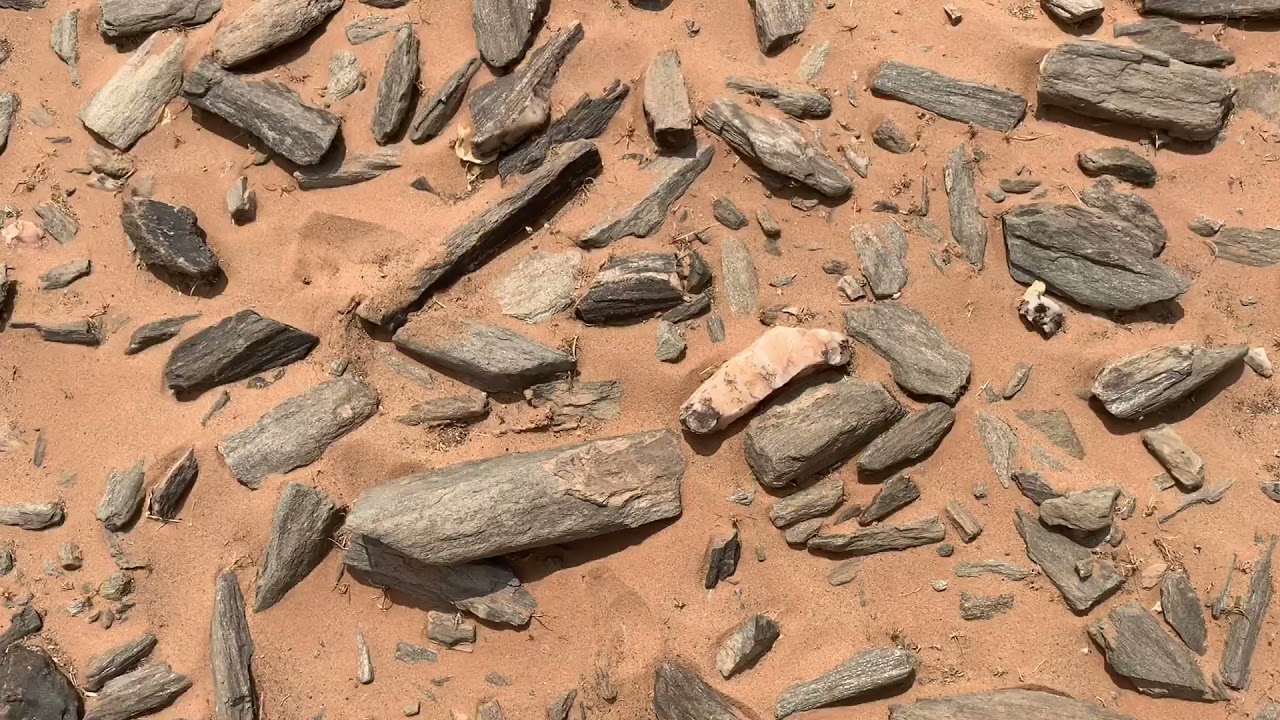 احذر التنقيب في هذي الجبال ( لا تضيع وقتك )