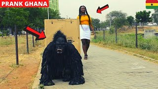 Giant Gorilla Prank. Scatter In The City! #KingKong