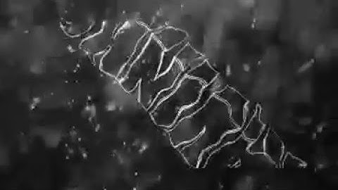 MINHA INTRO MODIFICADA V2