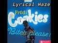 Lyrical haze  bitch pleaseprod by rujay