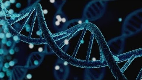 How to easily manipulate DNA sequences in Python using .complement() & reverse_complement() menthod