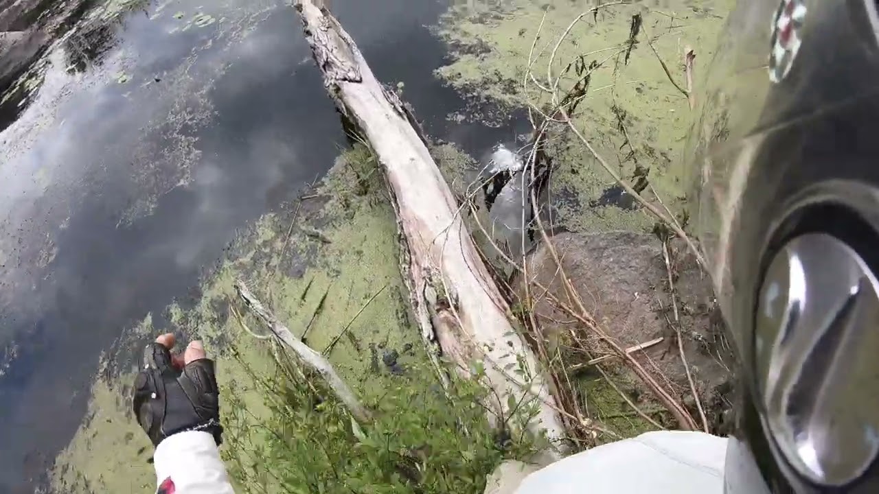 Ендуріком по берегам Росі