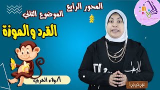 القرد والموزة | عربي كي جي 2 | المنهج الجديد | تيرم 2 - محور 4 - موضوع 2 | الاسكوله