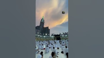 لا يحب الله الجهر بالسوء من القول إلا من ظلم وكان الله سميعا عليما #سورة_النساء