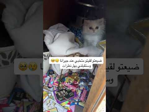 شوفو وين ينتظرني من الخوف  اكسبلور