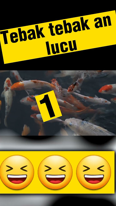 IKAN APA YANG SELALU BERHENTI??HAYOOO#lucu#tebaktebakan#komedi#komedilucu#viral