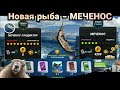 Новая рыба - МЕЧЕНОС и МЕЧЕНОС ГЛАДИАТОР / Игровой процесс / Fishing Clash: Реальная рыбалка