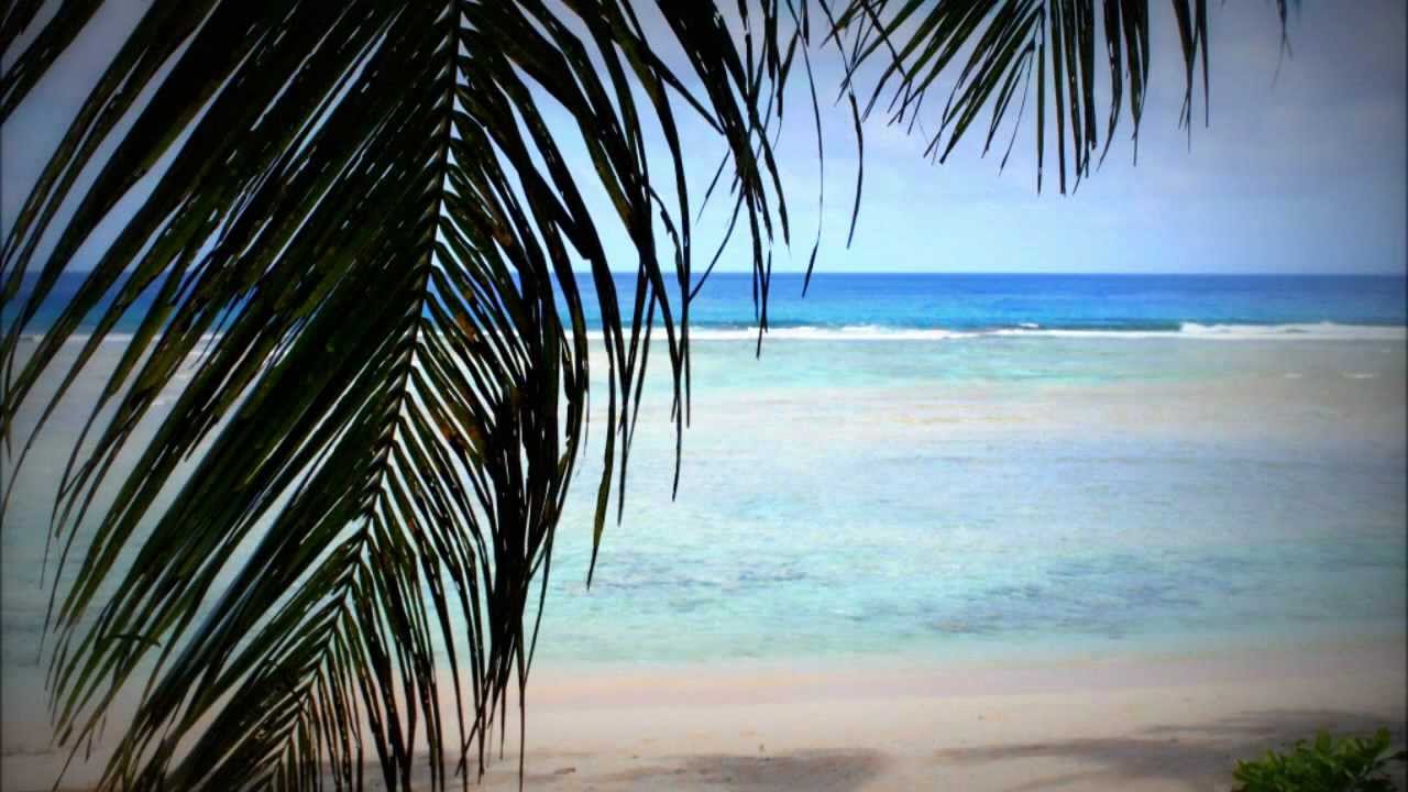 憧れのセーシェル諸島 ウクレレ セイシェル高中さん Yanpon Youtube