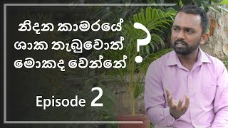 How to select correct indoor plant for your space | Episode 02 | Heavenz.lk