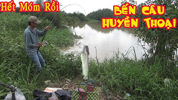 Câu Cá Trê Sông , Bãi Huyền Thoại Cắt Móm Thành Công Sau Mấy Ngày Móm Liên Tục