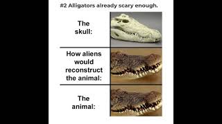 The Skull vs How Aliens Would Reconstruct the Animal vs the Actual Animal