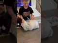 #unboxing #rcbuggy #rctrucks #nitro #revive #rccars #rccar #boymom #bashing #traxxas