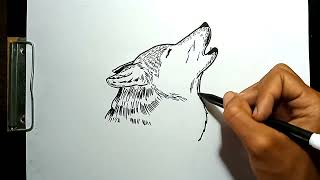How to Draw a Howling Wolf Expression Step by Step