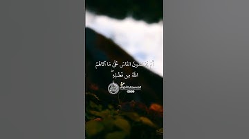 ماهر المعيقلي - سورة النساء ( برواية حفص عن عاصم ) الأية 54