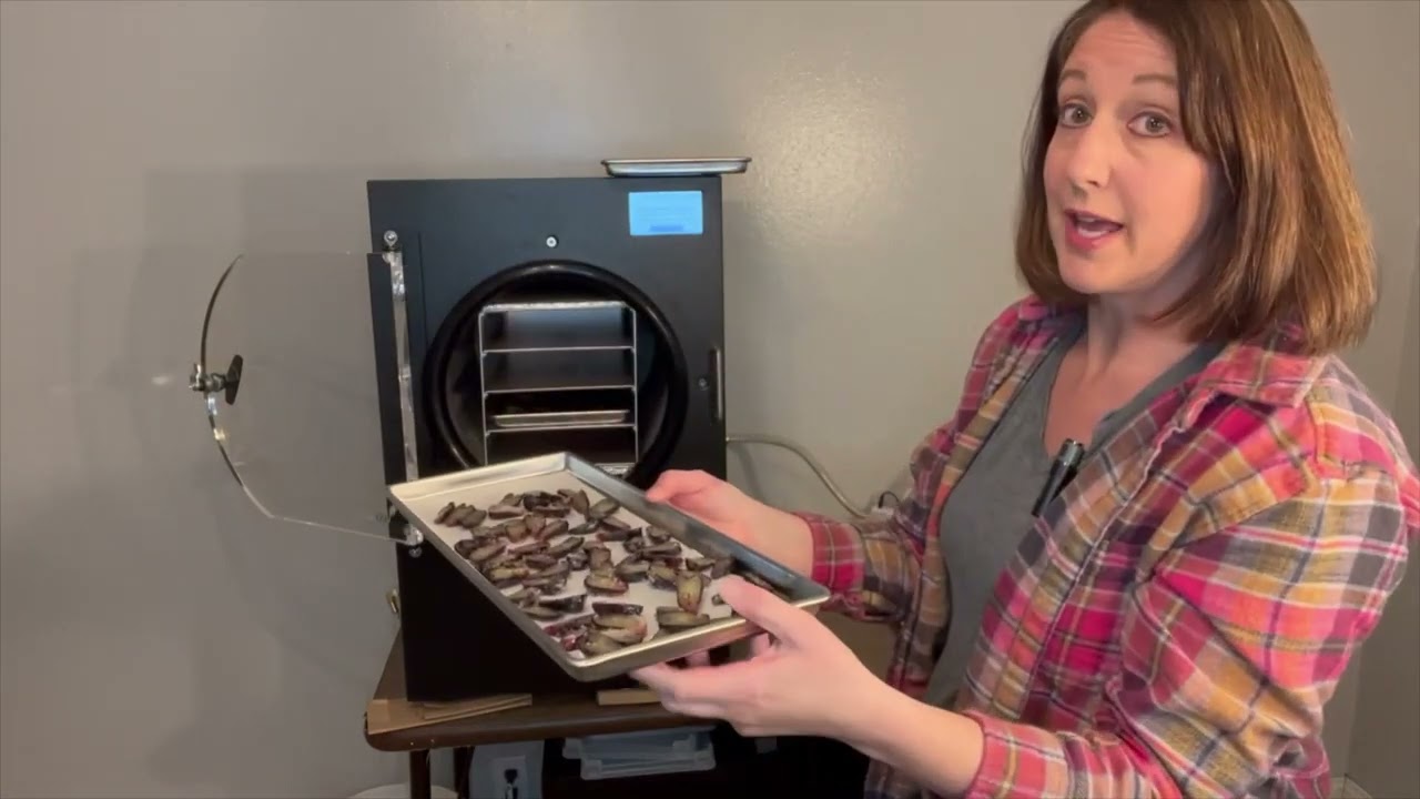 Freeze Dried Grapes! The Grape Experiment! What is the best way to prepare grapes to freeze dry?