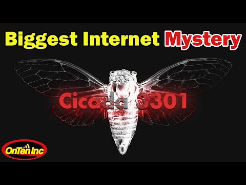 What is Cicada