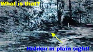 Random stuff from my phone! Using iPhone app Clips