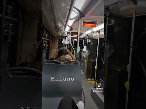 Milan Italy Autobus ATM