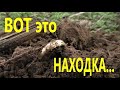 Нашел Золото на Поле. Found gold on the field.