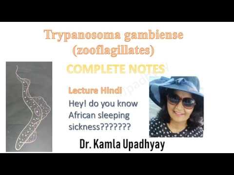 tripanosoma en hindi tripanosoma en hindi