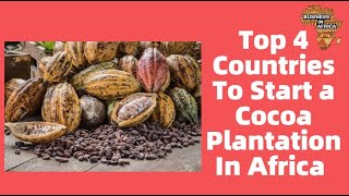 Top 4 Countries To Start a Cocoa Plantation In Africa | Best Agri-Business Ideas in Africa Top 4 Countries To Start a Cocoa Plantation In Africa | Best Agri-Business Ideas in Africa