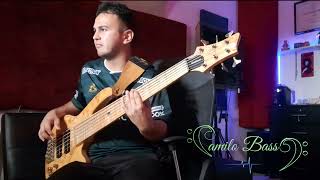 BACHATA BASS FREE