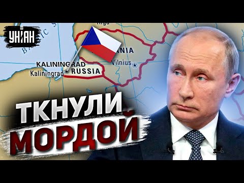 Путина ткнули мордой. Чехия вернет Калининград, "референдум" проведен