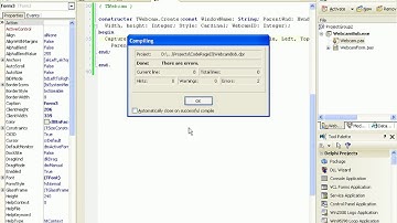 Webcam Fun with Delphi