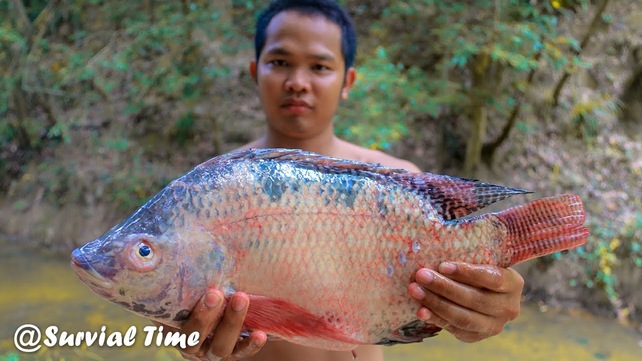 survival time small cell carcinoma bladder Cooking Yummy Big Fish Soup in the Forest