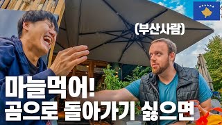 코소보에서 한국인의 비밀을 들키다 - 코소보(3)