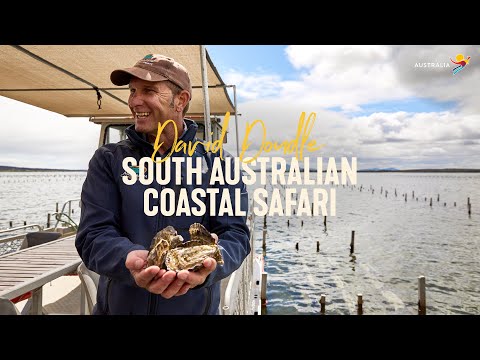 South Australian Coastal Safari with David Doudle | Live from Aus, Eyre Peninsula