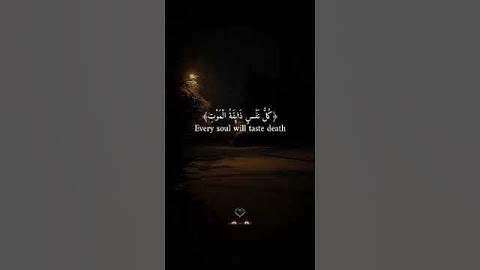 سورة العنكبوت الاية 56-58