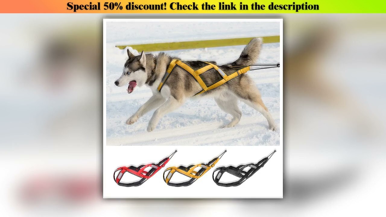 New Arrival Dog Sled Harness Pet Weight Pulling Sledding Harness Mushing X Back Harness For Large D