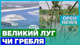 Відбудувати Каховську ГЕС чи відродити Великий Луг: у суспільстві й досі дискутують