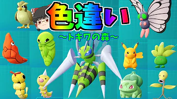 ピカブイ 33 トキワの森コンプリート 誤解が生じた色違い交換 ゆっくり実況 Mp3
