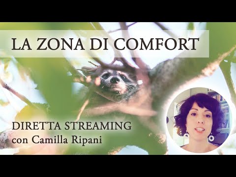 La zona di comfort