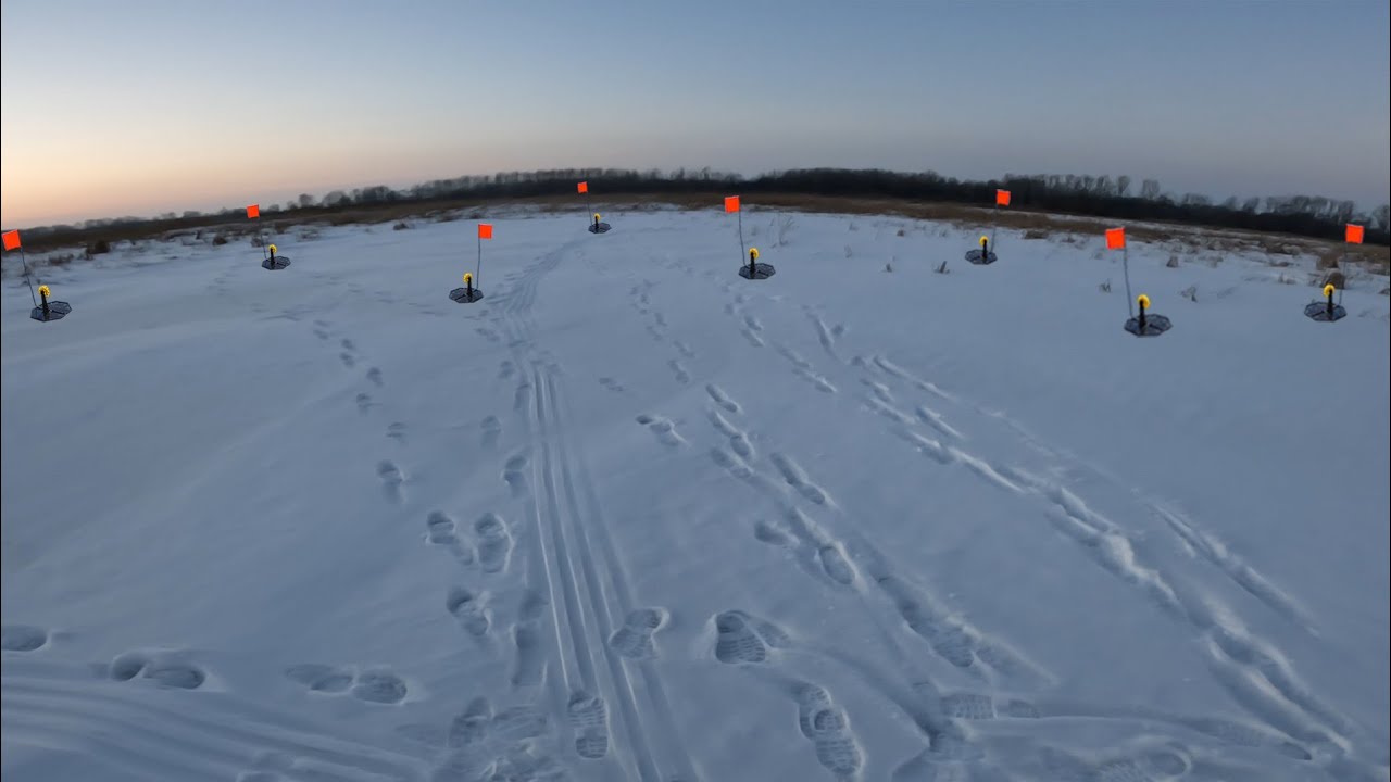Не могу в это поверить! Вечером начался жор трофеев! 
