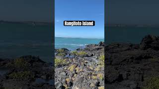 Rangitoto island 💯🏃‍♀️🏃‍♂️#travel #auckland #vlog #track #hiking  #ytshorts #reels #newzealand