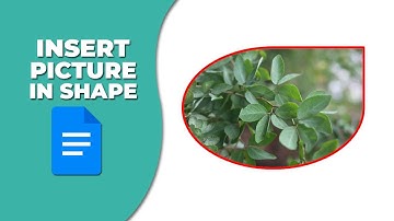 How to insert a picture in a shape in Google Docs