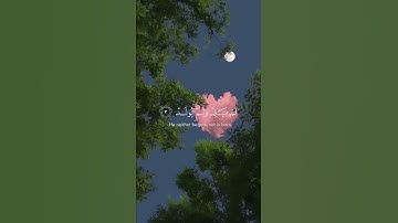 سورة الإخلاص بصوت القارئ سالم الرويلي .