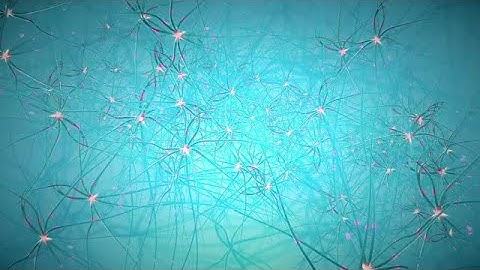 Neurons Background Pack Stock Motion Graphics