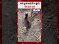 तपती धूप में पानी की हर बूंद के लिए जंग जारी