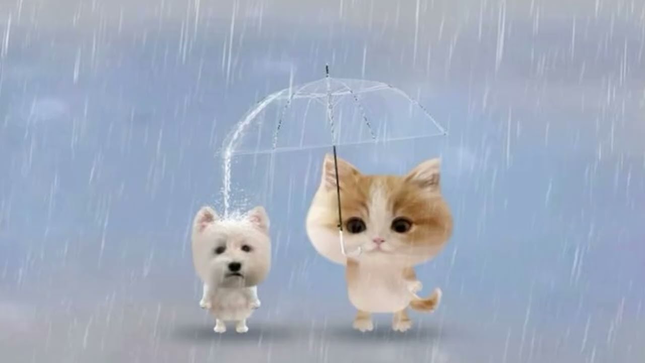 ⋆̩*̣̩☂*̣̩⋆̩