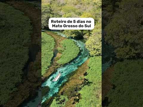 Roteiro de 5 dias no Mato Grosso do Sul 🐍 mais detalhes nos comentários