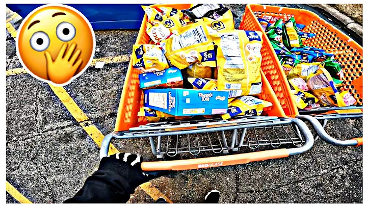 DUMPSTER DIVING - BIG LOTS LEFT ME 2 FULL CARTS OF FOOD!