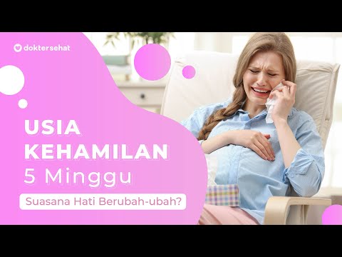 Video: Bagaimana Minggu Kehamilan Ke-5