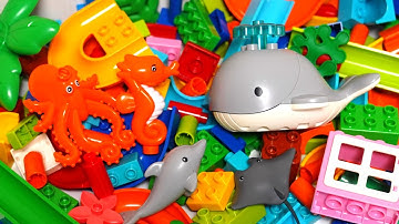 Satisfying Building Blocks Marble Run ASMR Very popular! Whale and Octopus Ocean Block Coaster