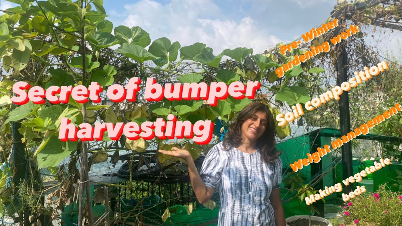 Secret of bumper harvesting YouTube