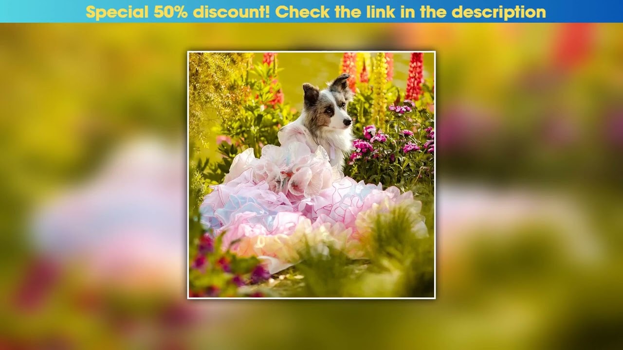 Review Luxury Handmade Princess Dog Dress | Pearl Sequin Starfish Skirt with Adjustable Bow | Small