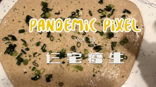 Pandemic Pixel Vol. 16 2021二月的碎片
